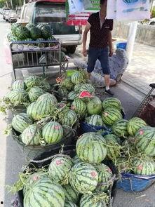 泰州网红吃瓜事件,一场网络舆论的风暴与反思